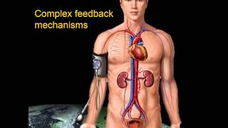 The Cardiovascular System in Space Mission Discovery 2013 [upl. by Einnep]