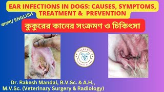 কুকুরের কানের সংক্রমণ I চিকিৎসা I EAR INFECTIONS IN DOGS I OTITIS IN DOGS TREATMENT AND PREVENTION [upl. by Kiker]