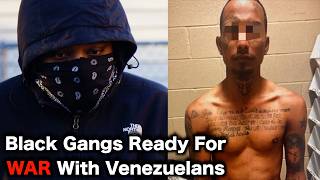 Chicago Gangs DECLARE WAR On Migrants [upl. by Franciska411]