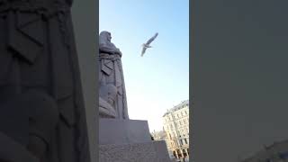 Beautiful freedom monument🇱🇻 oldtown riga latvia europe beautiful travelshorts ytshorts [upl. by Akimehs]