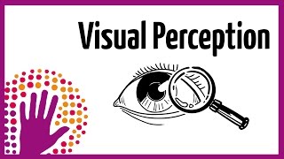 Visual Perception – How It Works [upl. by Madelin]