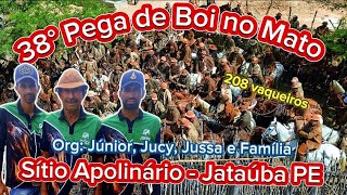 38° Pega de Boi no Mato Sítio Apolinário Jataúba PE Org Junior Jucy Jussa e Família pegadeboi [upl. by Kyred540]