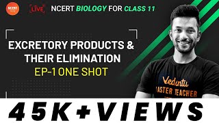 Excretory Products and their Elimination in OneShot  CBSE Biology Class 11  Vedantu 11 and 12 [upl. by Bartel]