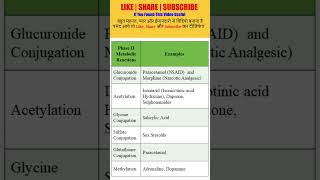 Example of Phase 02 Metabolic Reaction  Metabolism  solutionpharmacy  pharmacologyclass [upl. by Aillimac]