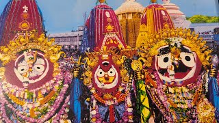 Jagannath Saha bharasa🙏🏻🙏🏻 myodiavlog ⭕‼️⭕ sharing🙏🏻 LopamudraBlogs [upl. by Dnumyar267]