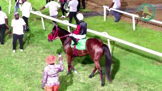 RACE DAY 7TH SEPTEMBER 2024 RACE 9 [upl. by Abehsat]