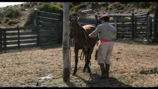 El Gaucho  DOMADOR full version [upl. by Peltier]