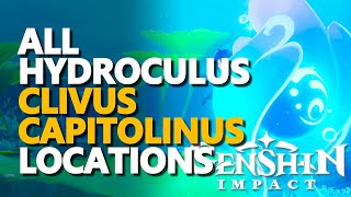 All Clivus Capitolinus Hydroculus Locations Genshin Impact [upl. by Fairfield]