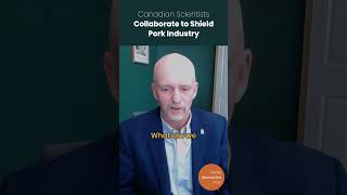 Canadian Scientists Collaborate to Shield Pork Industry [upl. by Snehpets]