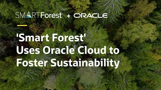 How NIBIO is fostering more sustainable forests using innovative sensors Oracle Cloud OCI and AI [upl. by Akehs]