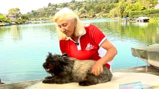 Linda TellingtonJones demonstrates ear work amp info about CA dog trainings [upl. by Maritsa]