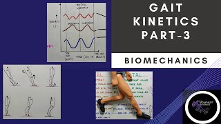 GAIT KINETICS Part 3 Gait BiomechanicsPhysiotherapy Tutorial [upl. by Dannon]