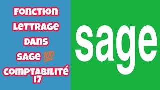 fonction lettrage dans logiciel sage 100 comptabilité i7 [upl. by Jobie851]