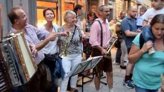 Kleiner HarmonikaspielerRucksackmusikantenBad Kissingen [upl. by Isaak706]