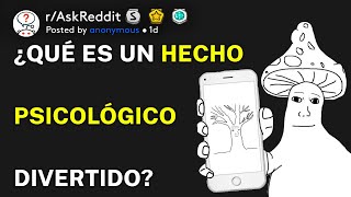 ¿Qué es un hecho divertido de psicología rAskReddit Español [upl. by Elamef364]