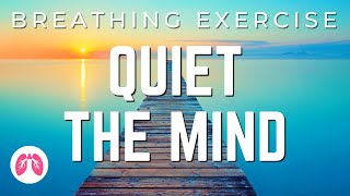 Breathing Exercises with Guided Meditation  5 Minutes  TAKE A DEEP BREATH [upl. by Znieh]