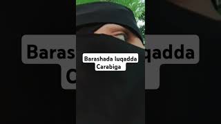 Barashada luqadda Carabiga تعليم اللغة العربية [upl. by Jt947]