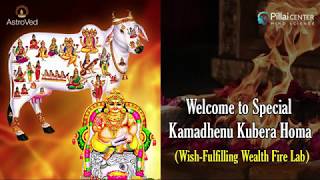 Kamadhenu Kubera Homa WishFulfilling Wealth Fire Lab [upl. by Leland111]