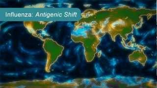 How Influenza Pandemics Occur [upl. by Idalla]