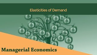 Elasticities of Demand  Price Elasticity  Income Elasticity [upl. by Zobias]