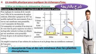 un modèle physique pour expliquer les échanges deau  expériences de Dutrochet شرح بالداريجة [upl. by Tnilc]