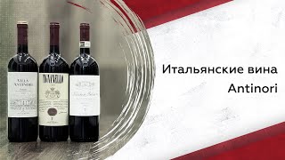 Итальянские вина Antinori [upl. by Hamas171]