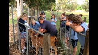 Kingscliff High School  Science Agriculture and Marine studies faculty [upl. by Sitruc]