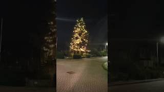 De kerstboom aan in Augustus [upl. by Cynara897]