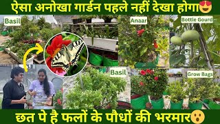 ऐसा अनोखा गार्डन पहले नहीं देखा होगा😍 छत पे है फलों के पौधों की भरमार😮 Fruit Plants Gardening Tips [upl. by Aneehsit155]