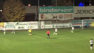 Brennpunkt Landesliga FC Gleisdorf 09  SC Deutschlandsberg [upl. by Derrej]