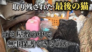 【後編】ゴミ屋敷に取り残されまだ見つからない最後の猫のその後 [upl. by Elynad]