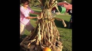 How to make a cornstalk decoration [upl. by Artimid]