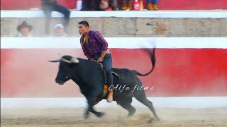 monta toro en corrída de toros Santo Tomás chumbivilcas virgen de la natividad 2023 [upl. by Airotcivairam]