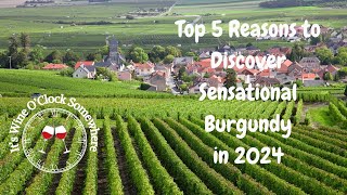 Top 5 Reasons to Discover Sensational Burgundy in 2024 [upl. by Mohn]