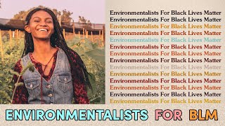 How Black Lives Matter And Environmental Justice Are Connected [upl. by Ashley]