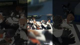 pigeon pigeon pigeonlover subscribe pigeons shorts youtubeshorts ytshort [upl. by Wickham644]