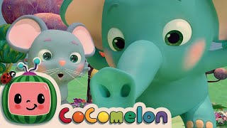 1 HOUR CoComelon Nursery Rhymes amp Kids Songs  The Sneezing Song [upl. by Viole783]