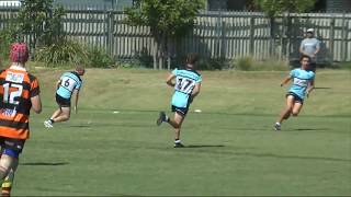 Harold Matthews Round Eight  Cronulla Sharks v Balmain Tigers [upl. by Eittel465]