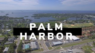 Palm Harbor FL  Downtown Palm Harbor [upl. by Awe]