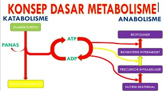 KONSEP DASAR METABOLISME [upl. by Maje]