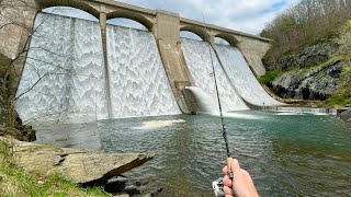 TROUT Fishing Below GIANT Spillway [upl. by Hiasi986]