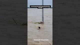 VIJAYAWADA FLOODS flood pets cow rain rainbowsixsiege vijayawada khammam sad [upl. by Gustafsson]