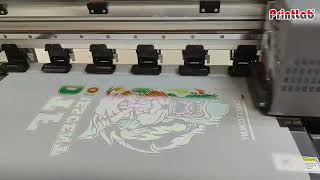 What is Direct Transfer Film DTF printing  How to print DTF Tshirt [upl. by Anem]