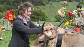 Interview  Boeuf Fermier Aubrac la transhumance par Laurianne Peyrac [upl. by Eissed]