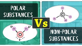 What is the Difference Between Polar and Non  Polar Substances  Chemistry Concepts [upl. by Richarda]