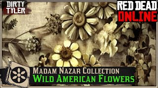 Wild American Flower Collection All Plant Locations Cycle 2 Red Dead Online RDR2 [upl. by Mirabella]