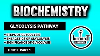 Glycolysis Pathway  Energetics And Significance Of Glycolysis  Carbohydrates Metabolism  Biochem [upl. by Ailene]