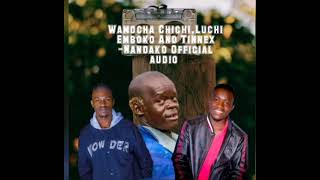 Wamocha Luchi and tinnex Nandako  Official audio [upl. by Zeralda]