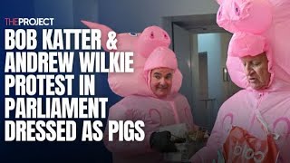 Bob Katter amp Andrew Wilkie Protest In Parliament Dressed As Pigs [upl. by Lanoil901]