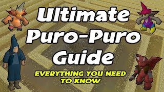 Puro Puro Guide Everything you need to know 2021  OSRS [upl. by Pia]